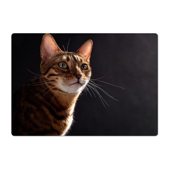 Mata chroniąca podłogę eco z foto Kot wąsy zwierzę, ArtprintCave ArtPrintCave