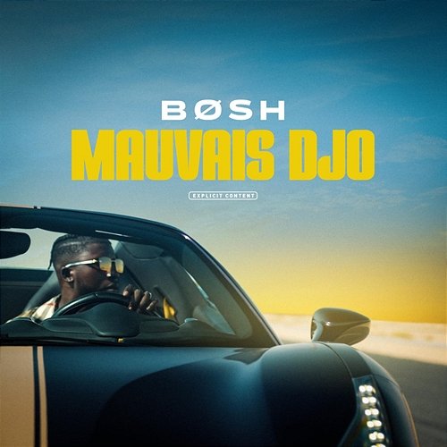 Mauvais djo BOSH