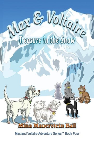 Max and Voltaire Treasure in the Snow Bail Mina  Mauerstein