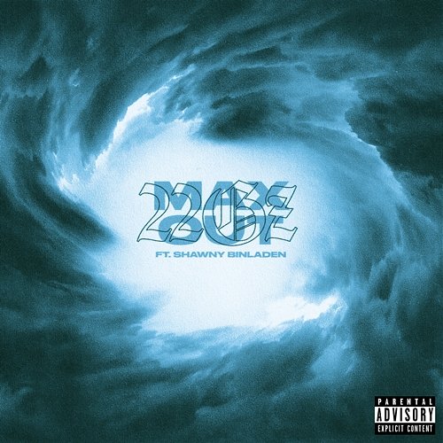 Max Out 22Gz feat. Shawny Binladen
