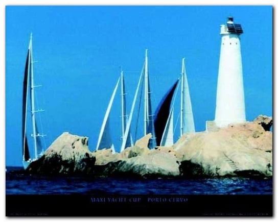 Maxi Yacht Cup plakat obraz 50x40cm Wizard+Genius