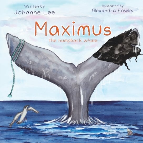 Maximus The Humpback Whale Johanne Lee