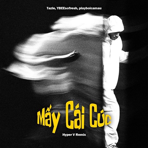 Mấy Cái Cúc Tazle