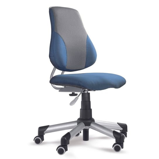 Mayer Ergonomiczne krzesło rosnące z dzieckiem Actikid A2 niebiesko/szare Mayer