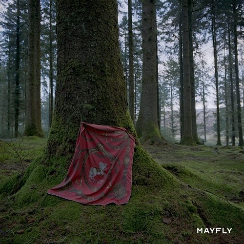 Mayfly Mantaraybryn