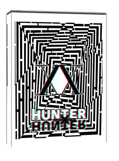 Maze Gaze Hunter x Hunter - obraz na płótnie 30x40 cm Galeria Plakatu
