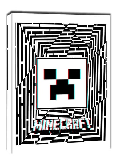 Maze Gaze Minecraft - obraz na płótnie 30x40 cm Galeria Plakatu