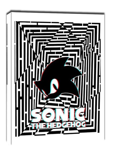 Maze Gaze Sonic the Hedgehog - obraz na płótnie 40x60 cm Galeria Plakatu