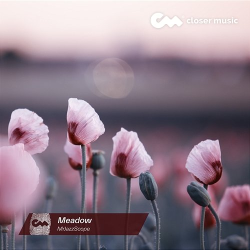 Meadow Mrjazzscope