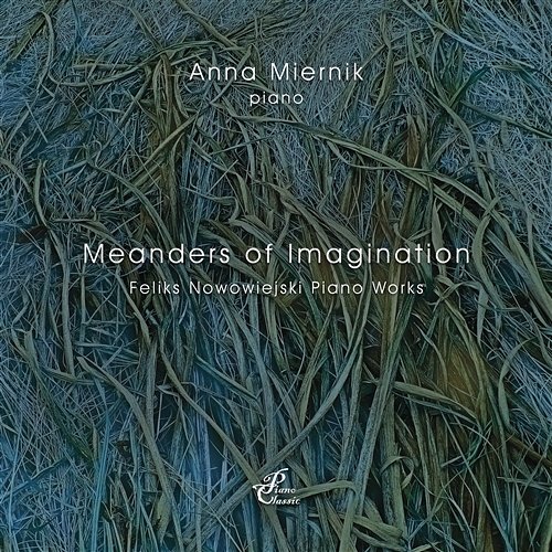 Meanders of Imagination Anna Miernik