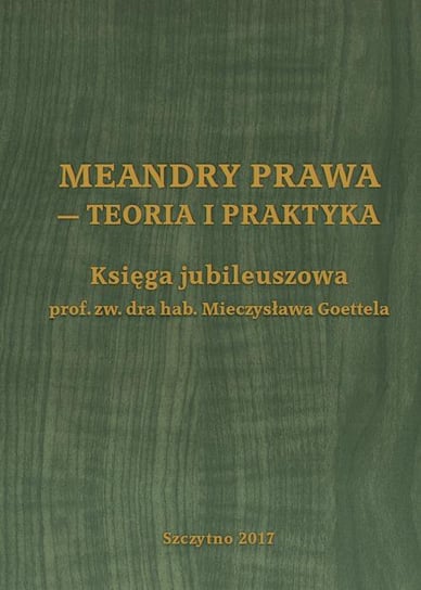 Meandry prawa. Teoria i praktyka Pływaczewski Emil, Bryk Janusz