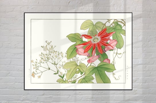 Męczennica Passiflora Plakat Japonia Grafika Vintage 50X70 Cm (B2) / Dodoprint Dodoprint