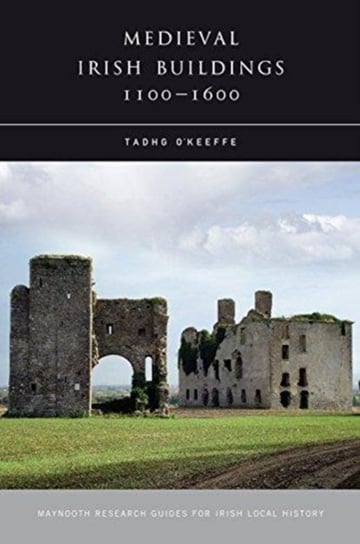 Medieval Irish Buildings, 1100 - 1600 Tadhg OKeeffe