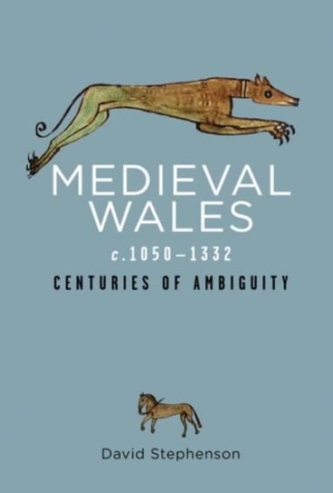 Medieval Wales c.1050-1332: Centuries of Ambiguity Stephenson David