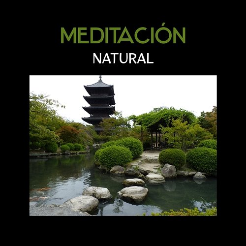 Meditación Natural - Música Dichosa para Lleno de Calma, Hipnosis Mente, Practica tu Zen, Relajación Positiva con Buda Meditación Música Ambiente