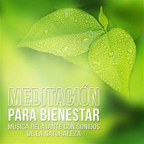 Meditación para Bienestar - Musica Relajante con Sonidos de la Naturaleza, Pensamiento Positivo y Serenidad Técnicas de Meditación Academia