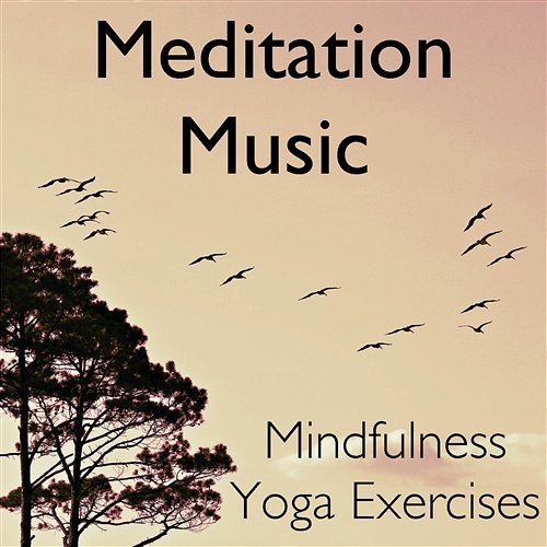 Meditation Music – Mindfulness Yoga Exercises Yoga Meditation Music Zone