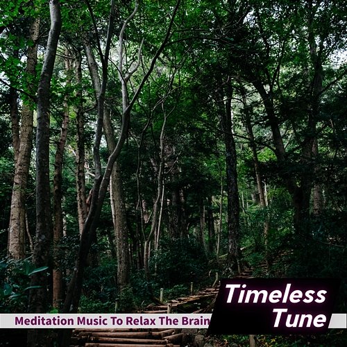 Meditation Music to Relax the Brain Timeless Tune