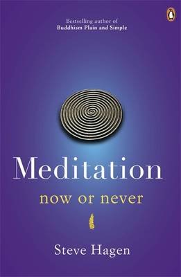 Meditation Now or Never Hagen Steve