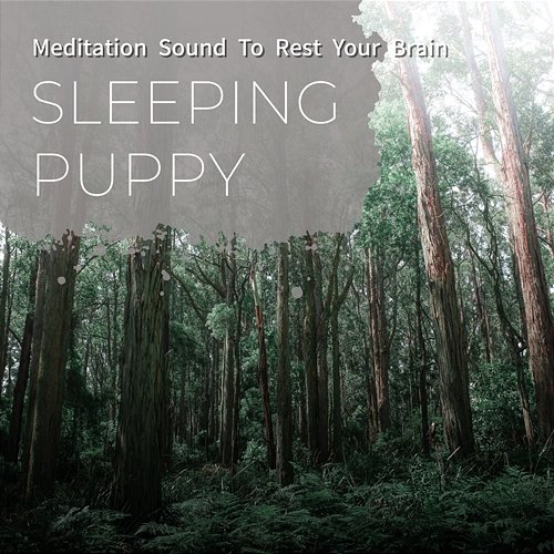 Meditation Sound to Rest Your Brain Sleeping Puppy