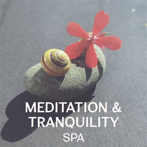 Meditation & Tranquility Spa – Relaxation and Meditate on the Good Start to the Day, Wellness and Yoga Ultimate Music Academy