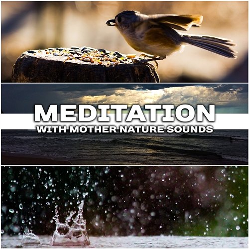 Meditation with Mother Nature Sounds: The Best Soothing, Healing & Relaxing Music for Stress Relief, Massage & Yoga Class Healing Power Natural Sounds Oasis