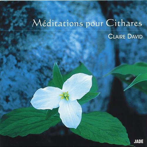 Méditations pour cithares Claire David