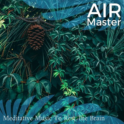 Meditative Music to Rest the Brain Air Master