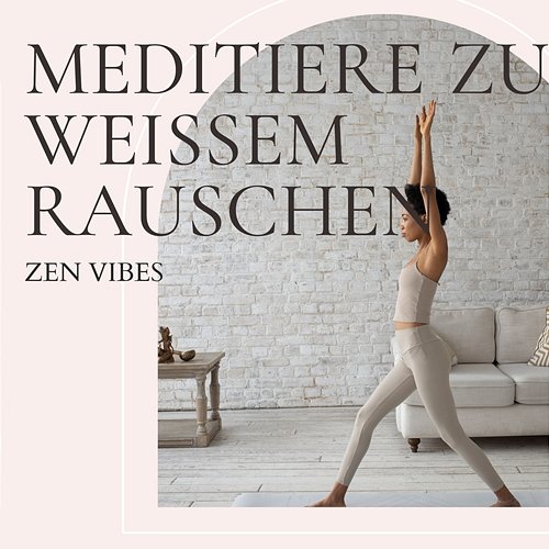 Meditiere Zu Weißem Rauschen (Endlos Wiederholbare Sequenz) Zen Vibes