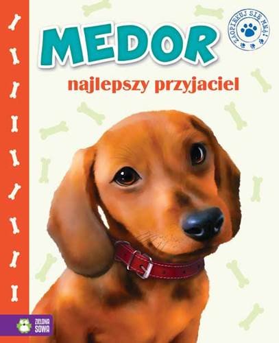 Medor - najlepszy przyjaciel. Zaopiekuj się mną Kwietniewska-Talarczyk Marzena