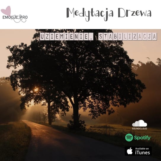 Medytacja Drzewa i Nieba - Emocje.pro podcast i medytacje - podcast Fiszer Vivian