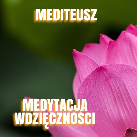 Medytacja wdzięczności / Prowadzona medytacja wdzięczności /Neville Goddard wdzięczności - MEDITEUSZ - podcast Opracowanie zbiorowe