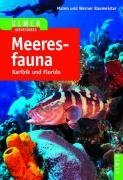 Meeresfauna Karibik und Florida Baumeister Maren, Baumeister Werner