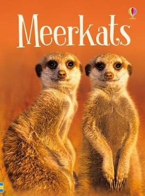 Meerkats Maclaine James