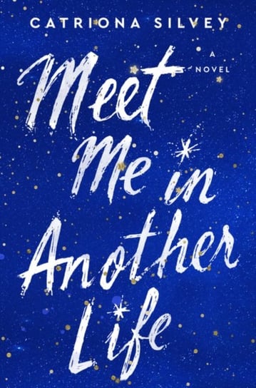 Meet Me in Another Life: A Novel Silvey Catriona