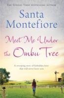 Meet Me Under the Ombu Tree Montefiore Santa