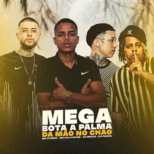 MEGA BOTA A PALMA DA MÃO NO CHÃO Mc Kitinho, DJ Fuinha, & DJ MOLCK feat. MC Hollywood