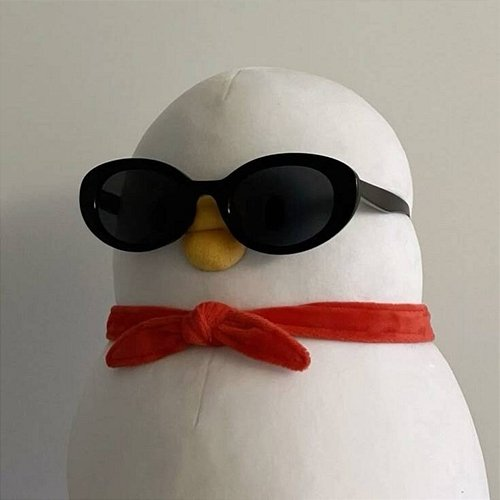 Meh Silly Goose Quack