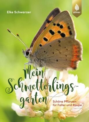 Mein Schmetterlingsgarten Verlag Eugen Ulmer