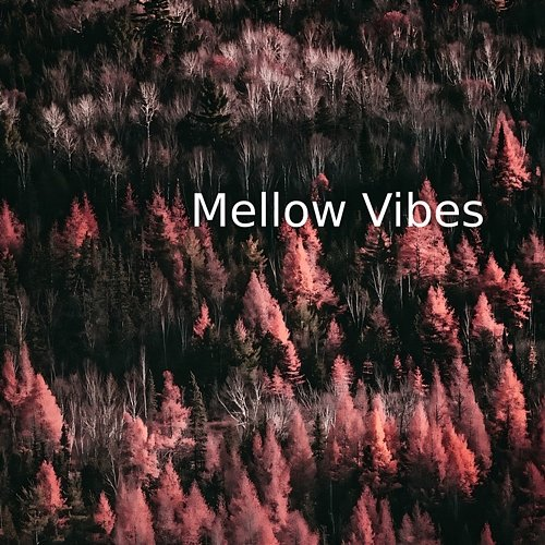 Mellow Vibes Kimberly Hardin