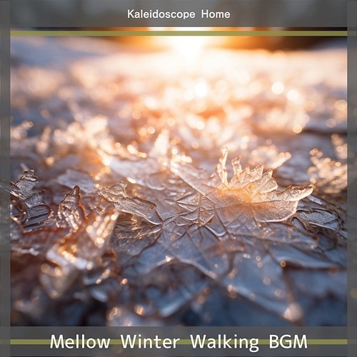 Mellow Winter Walking Bgm Kaleidoscope Home