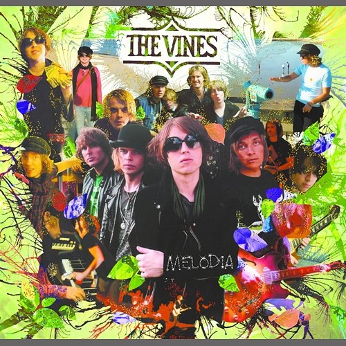 Melodia The Vines