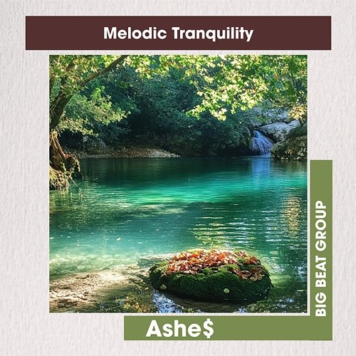 Melodic Tranquility Ashe$