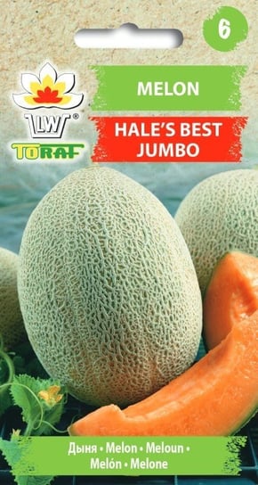 Melon HALE'S BEST JUMBO (śr. późny)       
Cucumis melo L. Toraf