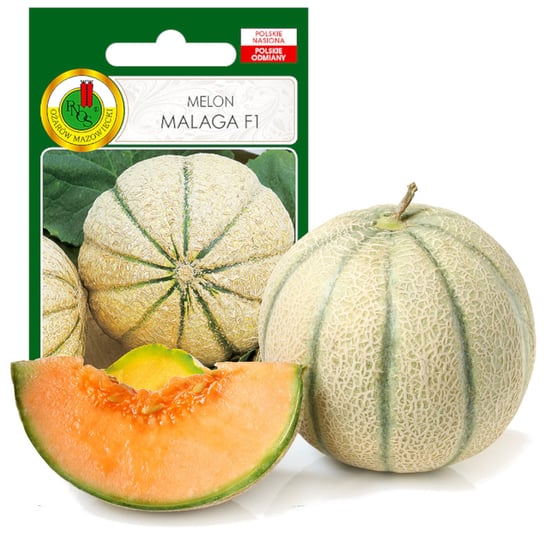 Melon Malaga F1 Wczesny Smaczny Nasiona Bez Gmo  1G PNOS
