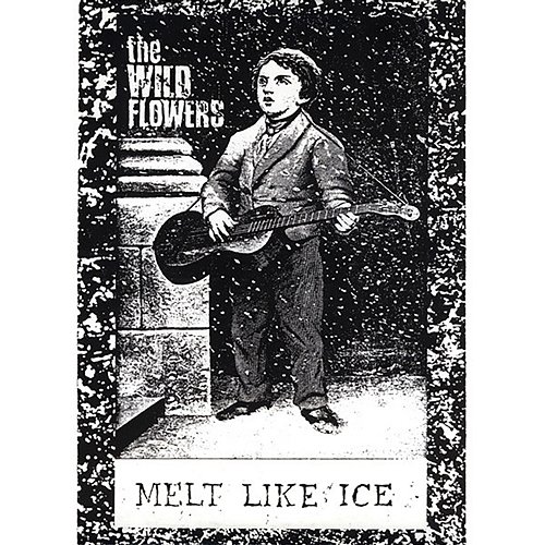 Melt Like Ice The Wild Flowers
