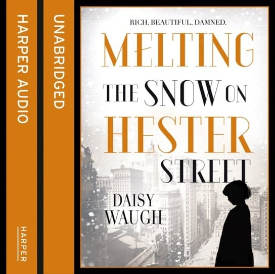 Melting the Snow on Hester Street Waugh Daisy