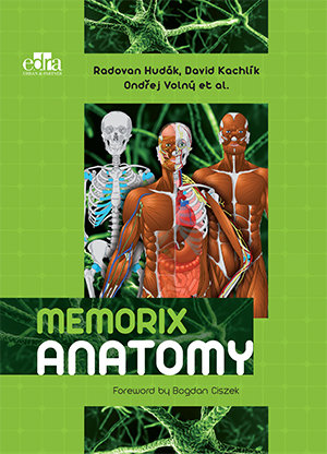 Memorix Anatomy Hudak Radovan