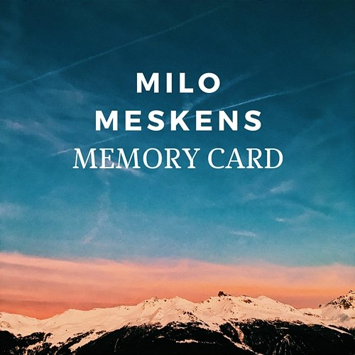 Memory Card Milo Meskens