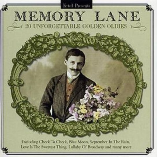 Memory Lane 20 Unforgettable Golden Oldies Various Artists